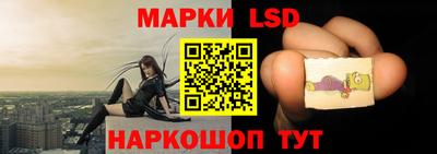 прущий лед Будённовск