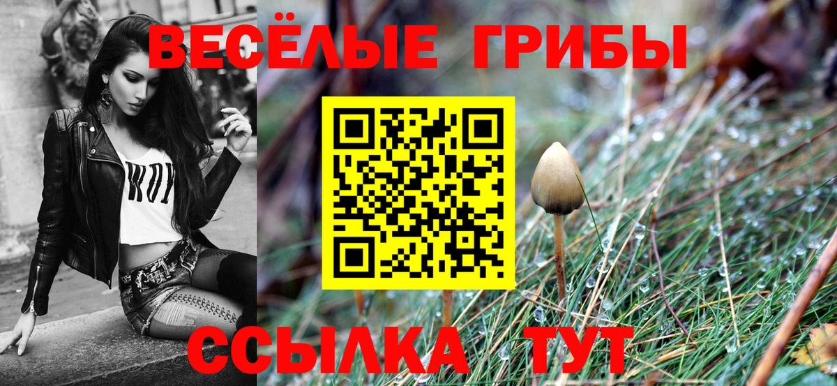 Псилоцибиновые грибы ЛСД Салехард