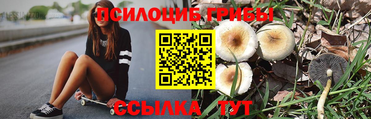 Салехард  Псилоцибиновые грибы MAGIC MUSHROOMS  Вход с VPN  купить наркотики цена  Галлюциногенные грибы Psilocybe 